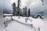 Snowfall in Himachal : তুষারপাতে বেহাল হিমাচলে বাড়ছে ক্ষতি, ২০ দিনে ৫১ জনের মৃত্যু