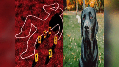 Tamil nadu News: रिश्तेदार ने उसके कुत्ते को कुत्ता कह दिया तो कर दी हत्या