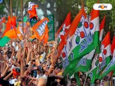 Trinamool Congress : পাঁচ বছরে ৯০ গুণ আয় বাড়িয়ে বিজেপির পরেই তৃণমূল