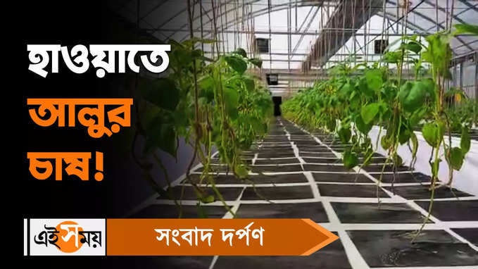 Potato Farming: কৃত্রিম উপায়ে শুরু হল ঝুলন্ত আলুর চাষ!