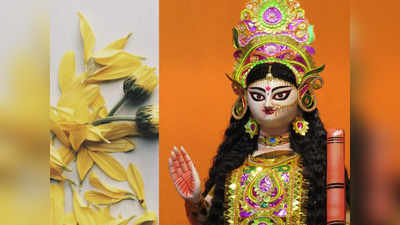 Saraswati Puja 2023 : সরস্বতী পুজোয় করুন হলুদের এই টোটকা, পরীক্ষায় নম্বর বাড়বেই