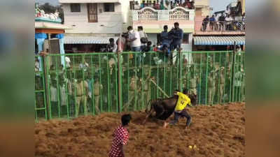 திருவெறும்பூர் ஜல்லிக்கட்டு போட்டி - காளைகளை அடக்கிய மாடுபிடி வீரர்கள்