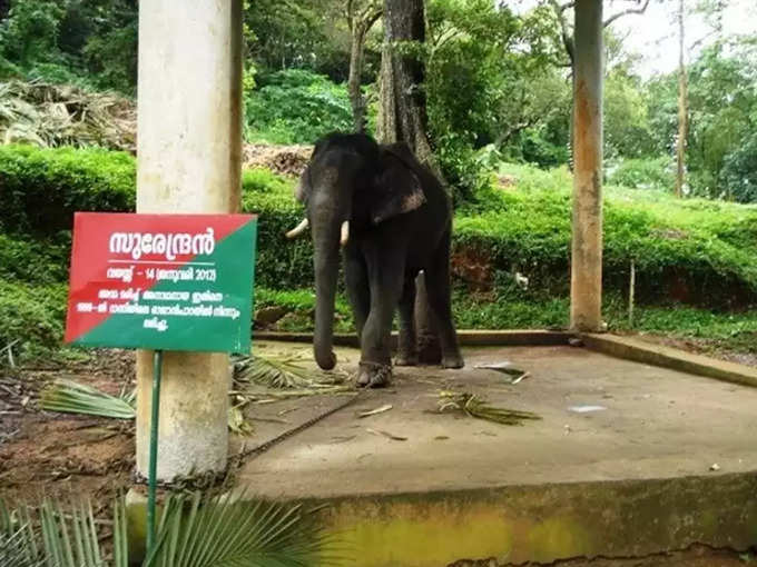 രാത്രിയുടെ മറവിൽ മുത്തങ്ങയിലേക്ക്