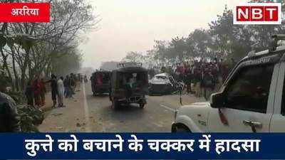 Araria Car Accident: कुत्ते को बचाने के चक्कर में दो की मौत, पेड़ से टक्कर के बाद कार के उड़े परखच्चे