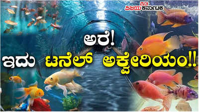 Aquarium: ಬೆಂಗಳೂರಿಗರನ್ನು ಸೆಳೆಯುತ್ತಿದೆ ಅತಿದೊಡ್ಡ ಸಿ ಟನೆಲ್ ಅಕ್ವೇರಿಯಂ!