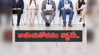 IT Companies: ఐటీ ఉద్యోగులకు కష్టకాలం.. ఈ గణాంకాలే సాక్ష్యం.. నియామకాలన్నీ బంద్.. ఉన్నవి కూడా! 