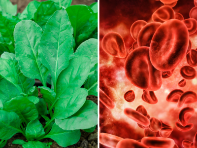 Iron in Spinach: खून बढ़ाने का टॉनिक है पालक, Nutritionist ने माना 6 सब्जियों में डालकर खाने से बढ़ेगा आयरन
