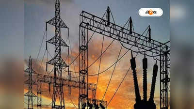 Pakistan Power Crisis: চরম খাদ্য সংকটের মধ্যেই বিদ্যুৎ বিপর্যয়, অন্ধকারের গ্রাসে পাকিস্তান