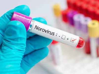 Norovirus: പ്രധാന ലക്ഷണങ്ങളും പ്രതിരോധവും