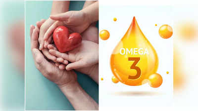Omega 3 Foods: হার্টের খেয়াল রাখা থেকে ইনসুলিনের কার্যক্ষমতা বাড়ায় ওমেগা থ্রি, ৫ খাবার খেতে বললেন পুষ্টিবিদ