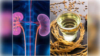 Oil For Kidney Patients: ড্যামেজ কিডনিতে প্রাণ ফেরে ৫ তেলে, বিশেষজ্ঞ জানালেন দিনে কতটা খাবেন