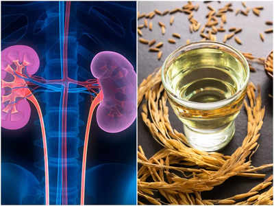 Oil For Kidney Patients: ড্যামেজ কিডনিতে প্রাণ ফেরে ৫ তেলে, বিশেষজ্ঞ জানালেন দিনে কতটা খাবেন