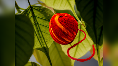 Tying Thread To Trees: ನಿಮ್ಮಾಸೆಗಳೆಲ್ಲಾ ಈಡೇರಬೇಕಾ..? ಈ ದಾರವನ್ನು ಮರಕ್ಕೆ ಕಟ್ಟಿ..!