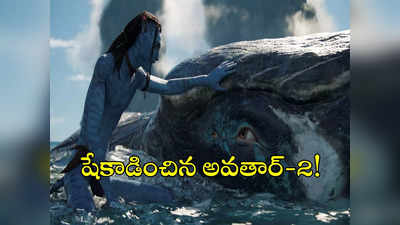 Avatar: అవతార్-2 అంకెలు చూస్తే ఇండస్ట్రీ రంకెలే.. 2 బిలియన్‌ డాలర్ల క్లబ్‌లో!