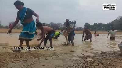 களைகட்டிய மீன் பிடி திருவிழா  போட்டி போட்டு கொண்டு மீன் பிடித்த கிராம மக்கள்!