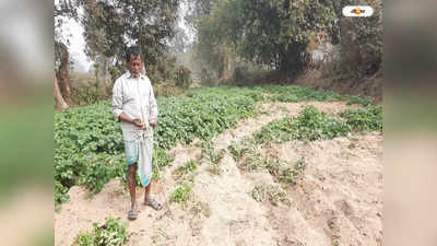 West Bengal News : বুনো হাতির তাণ্ডব বাঁকুড়ার একাধিক গ্রামে, আহত হুলা পার্টির ২ সদস্য