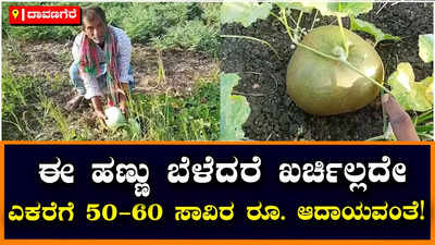 Davanagere: ಶೂನ್ಯ ಬಂಡವಾಳದಲ್ಲಿ ಎಕರೆಗೆ 50 ಸಾವಿರ ಆದಾಯ: ಲಾಭ ತಂದುಕೊಡ್ತಿದೆ ಕೆಕ್ಕರಲ ಹಣ್ಣು!