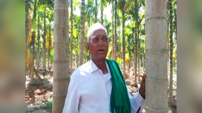 Agriculture Success Story: ಸಮಗ್ರ ಕೃಷಿಯಲ್ಲಿ ಲಾಭ ಕಂಡ ದಾವಣಗೆರೆ ಗಾಣದಕಟ್ಟೆಯ ಕೃಷಿಕ ರಂಗಪ್ಪ : ಅಡಕೆ ಕೃಷಿಯಲ್ಲಿ ಸಾಧನೆ