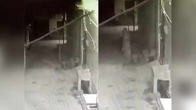 Aligarh News: अलीगढ़ में दिखा भूत, देखें वायरल वीडियो