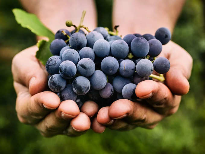 Benefits of Black Grapes