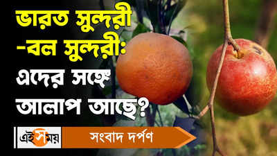Bharat Sundari Apple: ভারত সুন্দরী-আপেল কুল: এদের সঙ্গে আলাপ আছে