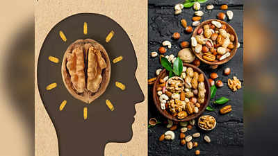 Brain Health: दिमाग को तेज बनाने के लिए पर्फेक्ट हैं ये Dry Fruits, मेमोरी भी होगी कंप्यूटर की तरह तेज