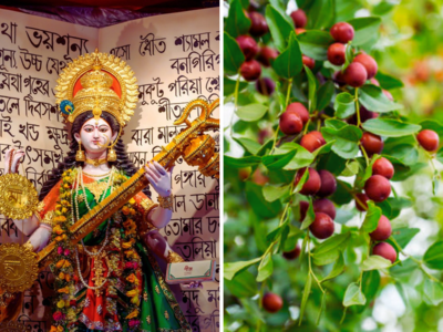 Basant Panchami में ज्ञान की देवी सरस्वती को चढ़ता है ये खट्टा फल, खाने से तेज होगा दिमाग ये 5 रोग रहेंगे दूर