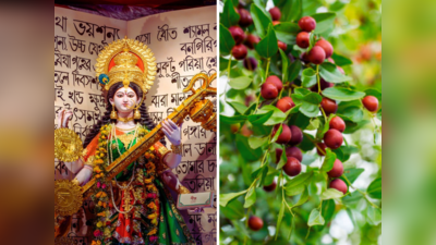 Basant Panchami में ज्ञान की देवी सरस्वती को चढ़ता है ये खट्टा फल, खाने से तेज होगा दिमाग ये 5 रोग रहेंगे दूर