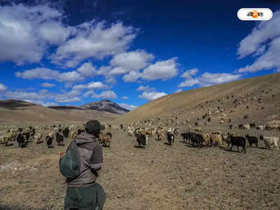 Indo-China Border in Ladakh : লাদাখে ২৭ পয়েন্টে টহল বন্ধ ভারতের?