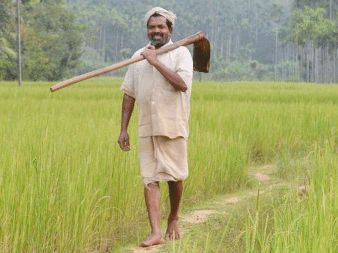 चावल की प्रजातियों की बताते हैं खासियत