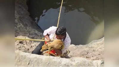 पाण्याच्या शोधात आलेलं हरणाचं पिल्लू विहिरीत पडले, गारठलेल्या पाडसाला वनविभागाने दिलं जीवदान