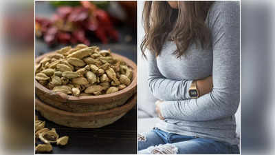 Benefits of Cardamom: কেন রোজ রান্নায় দিতে হবে এলাচ? জানুন এর উপকার সম্পর্কে বিজ্ঞান কী বলছে