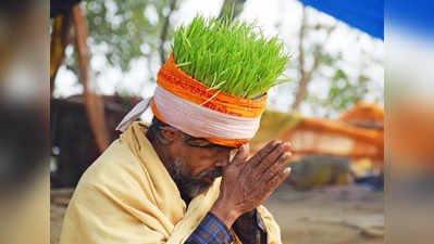 संगम में विचित्र हठयोगी... बिना मिट्टी सिर पर उगाया गांजा, किसानों को दिया संदेश- रासायनिक खाद बंद करें