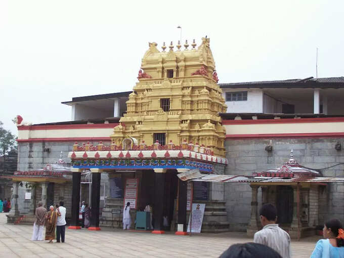 ಶೃಂಗೇರಿ ಶಾರದ ಪೀಠ, ಕರ್ನಾಟಕ