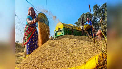 ಬೇಲೂರಿನಲ್ಲಿ ರಾಗಿ, ಭತ್ತ ಖರೀದಿ ಕೇಂದ್ರಕ್ಕೆ ಚಾಲನೆ; ರೈತರನ್ನು ಅಲೆದಾಡಿಸದಿರುವಂತೆ ಸೂಚನೆ