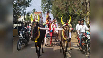 மதுரை: புதுமணப் பெண்ணை மாட்டு வண்டியில் அழைத்து வந்த பட்டதாரி மணமகன்.. வியந்து பார்த்த பொதுமக்கள்!