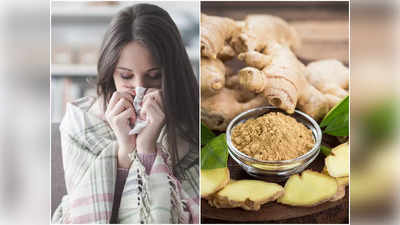 Cold and Flu Home Remedies: ঠান্ডা লেগে জ্বর, সর্দি-কাশি? Flu-এর প্রকোপ কমান ঘরোয়া উপায়ে