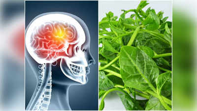 Best Food for Brain: ব্রেনের টনিক এই পরিচিত খাবারগুলি, দুশ্চিন্তাও আপনাকে কাবু করতে পারবে না