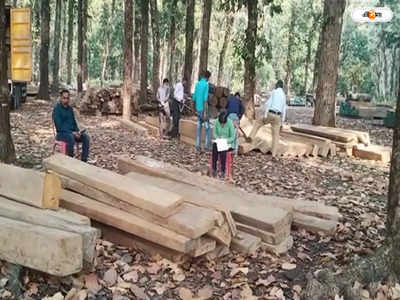 Jalpaiguri News : পাচারের আগেই ভেস্তে গেল ছক! কোটি টাকার বার্মাটিক কাঠ উদ্ধার জলপাইগুড়িতে