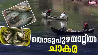 തൊടുപുഴയാറ്റിൽ ചാകര ; മീൻ പിടുത്തം സജീവം