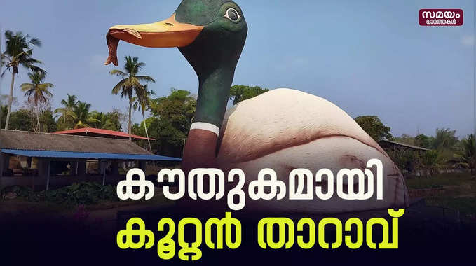 ഏവർക്കും കൗതുക കാഴ്ച ഒരുക്കി കൂറ്റൻ താറാവ് 