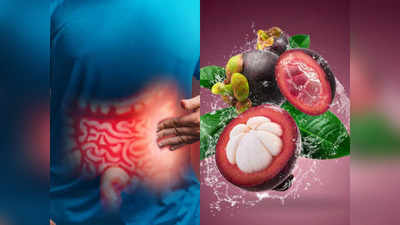 Kokum Health Benefits: પેટમાં બળતરાં-એસિડિટીને બે મિનિટમાં જ દૂર કરશે રસોડાંનું આ ફળ; દરરોજ સેવનના 5 ફાયદાઓ