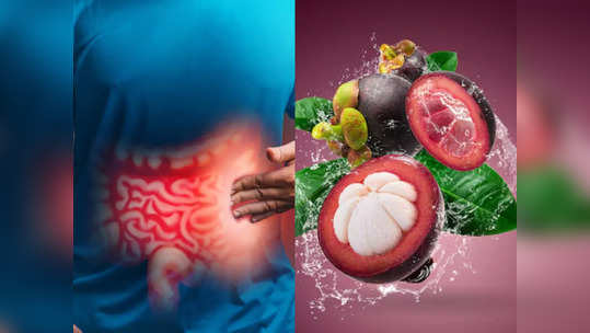 Kokum Health Benefits: પેટમાં બળતરાં-એસિડિટીને બે મિનિટમાં જ દૂર કરશે રસોડાંનું આ ફળ; દરરોજ સેવનના 5 ફાયદાઓ 