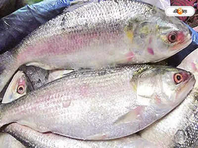 Bangladesh Ilish Fish Price : ২৫ টাকায় ইলিশ মাছ ! যাবেন না কী সেই দোকানে?