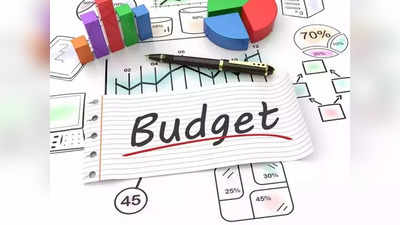 Union Budget 2023: स्वतंत्र भारतातील असे अर्थमंत्री जे बजेट मांडू शकले नाही