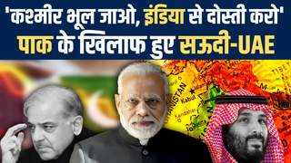 Indian Diplomacy Kashmir: कश्मीर को भूल कर भारत से दोस्ती करो, सऊदी और UAE की पाकिस्तान को दो टूक