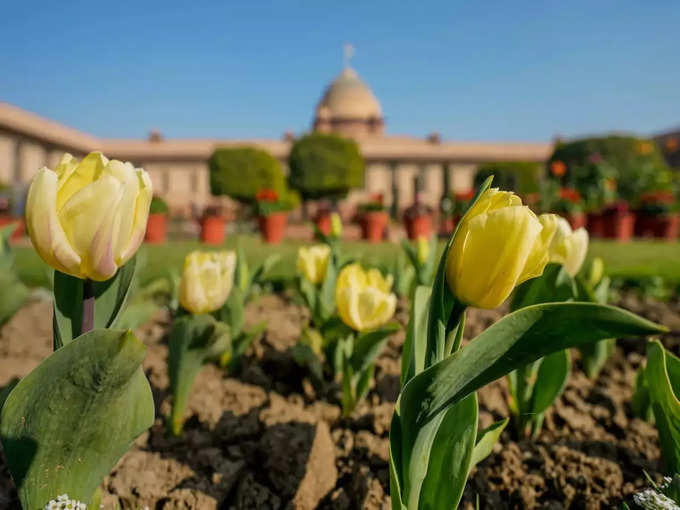 अंदर मिलने वाली सुविधाएं