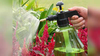 Spray Pump की मदद से पेड़ पौधों पर करें पानी और पेस्टिसाइड का छिड़काव, कीमत भी है काफी कम