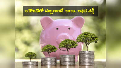 Savings Account: సేవింగ్స్ అకౌంట్ వడ్డీ రేట్లు పెంపు.. బ్యాంక్ ఖాతాలో ఎక్కువ డబ్బులుంటే అంత ఎక్కువ లాభం!