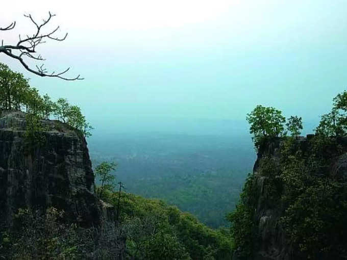 हिमालय की तरह जड़ी-बूटियों का भंडार